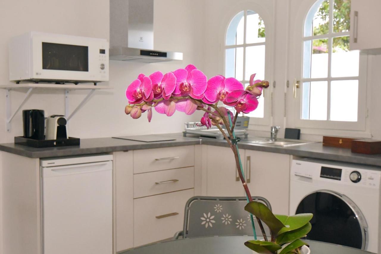 Bed and Breakfast Le Jacaranda Du Guillaume Le Guillaume Esterno foto